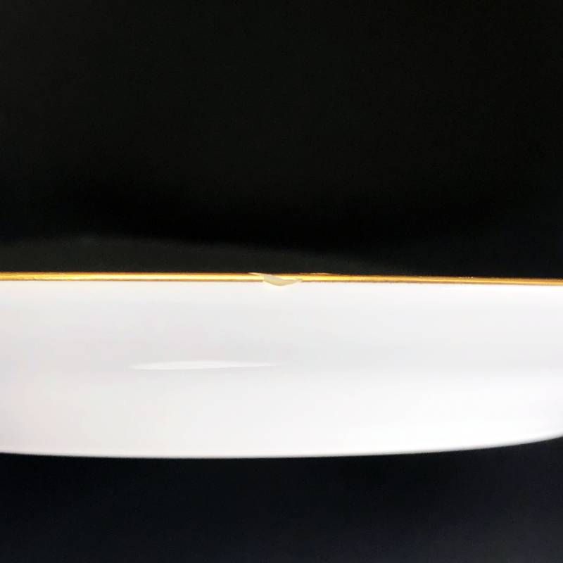 HAVILAND アビランド／ルーブシエンヌ マリーアントワネット プレート 皿／26cm／陶器／マルチカラー／M03204A