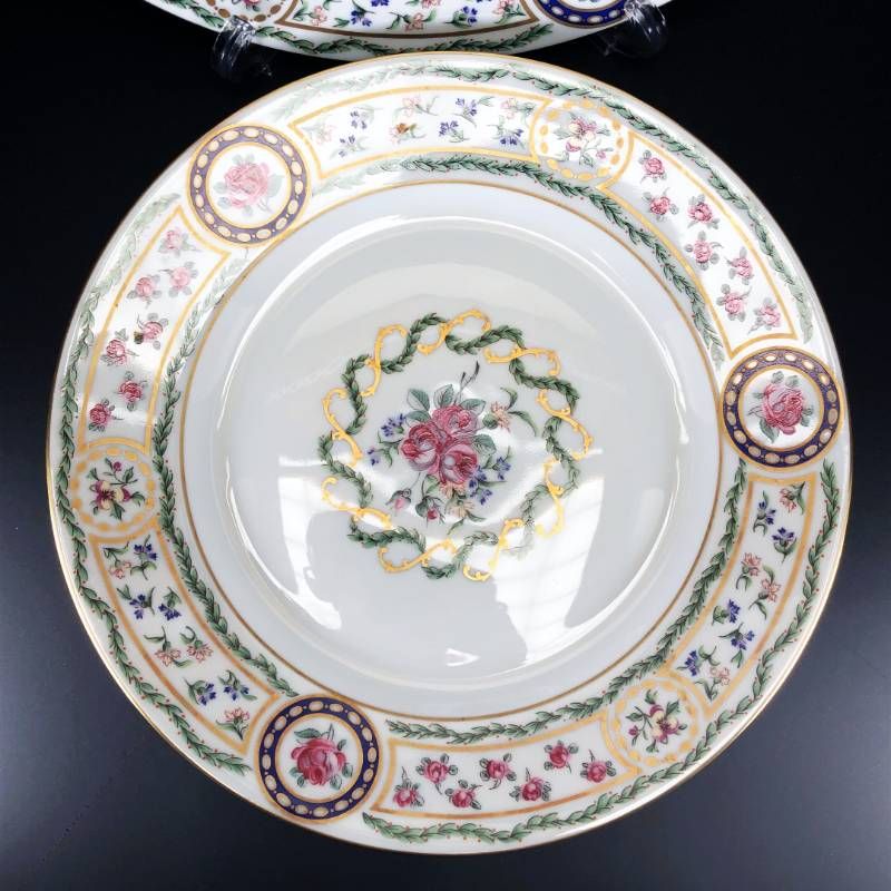 【美品】HAVILAND アビランド／ルーブシエンヌ マリーアントワネット ペア プレート 皿 2枚 セット／26cm／陶器／マルチカラー／M03204E
